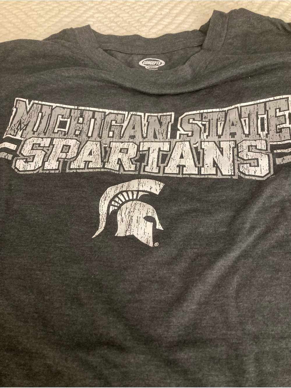 MICHIGAN STATE Spartans NWOT Long Sleeve Tee Shirt Large